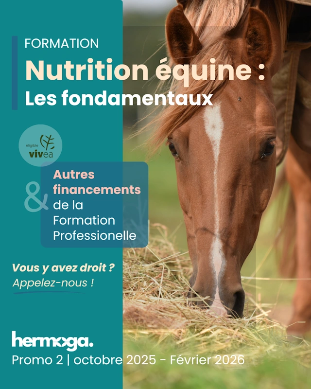 Post réseaux socoaux présentant la formation en nutrition équine Hermoga, avec le beau cheval alezan emblématique de notre communication